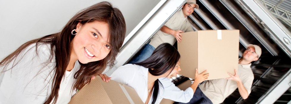 Professional Removalists Walbundrie